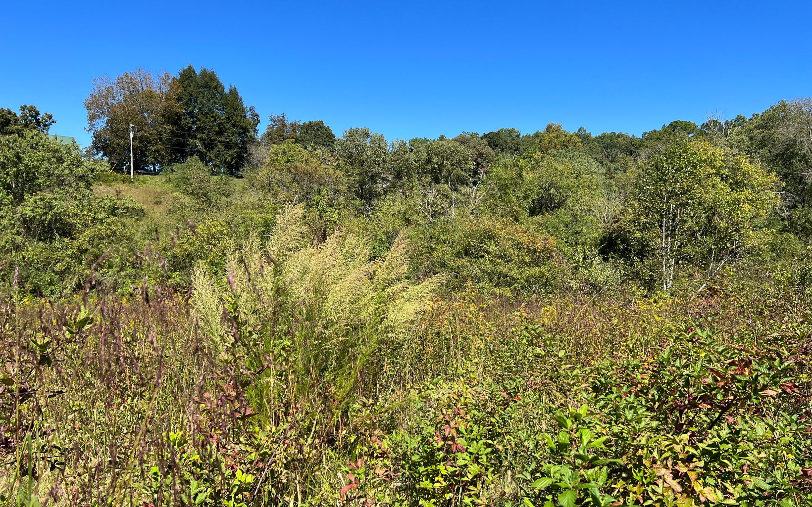 37-ac Jarrett Road Hayesville, NC 28904 - Photo 28 of 61 Additional View