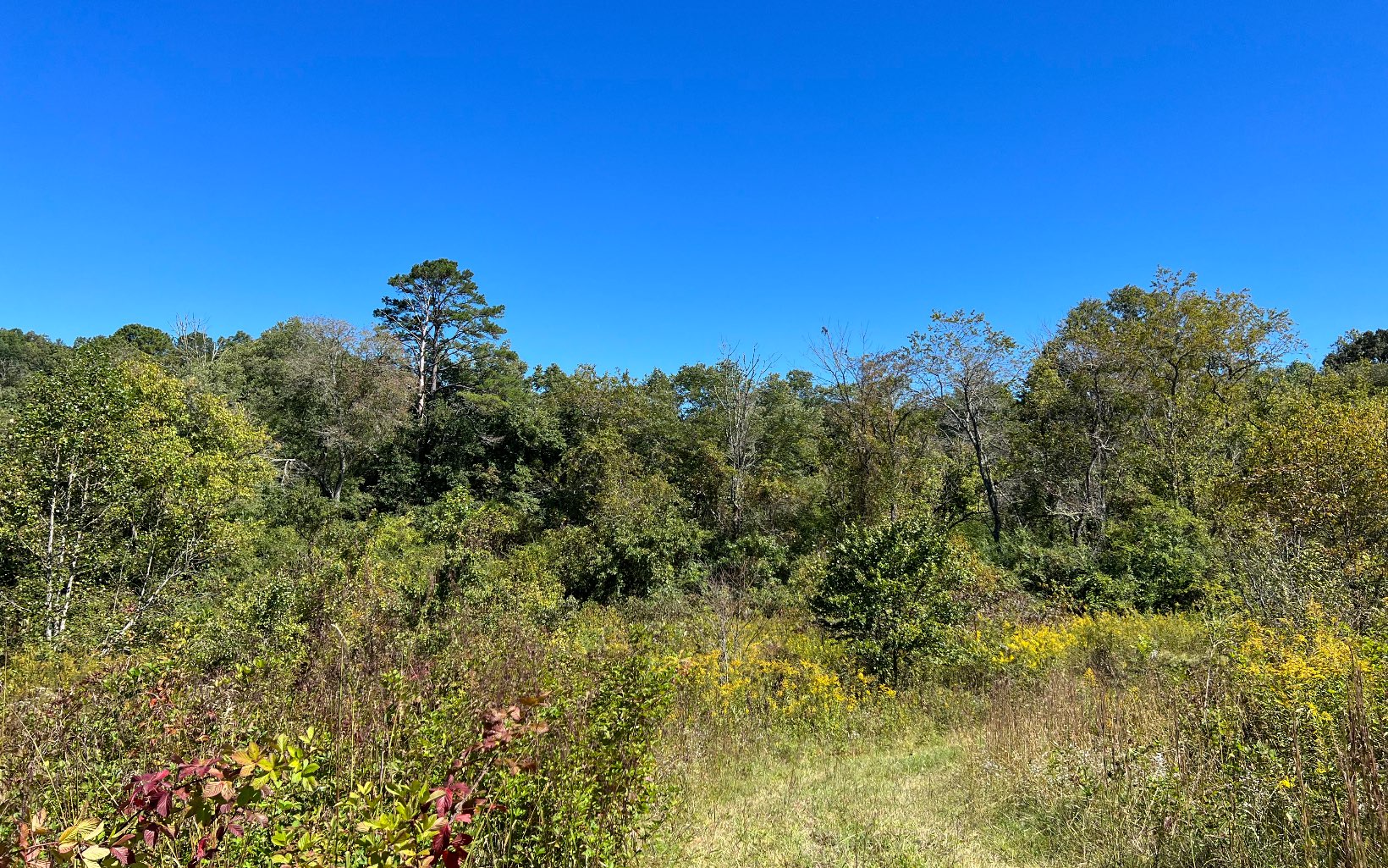 37-ac Jarrett Road Hayesville, NC 28904 - Photo 29 of 61 Additional View