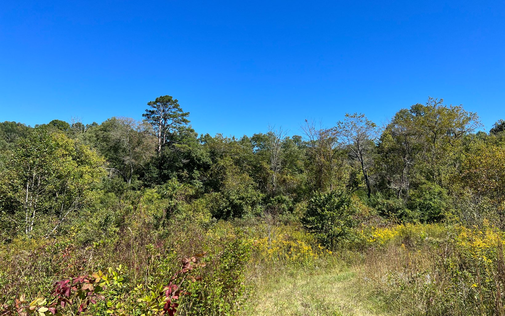 37-ac Jarrett Road Hayesville, NC 28904 - Photo 30 of 61 Additional View