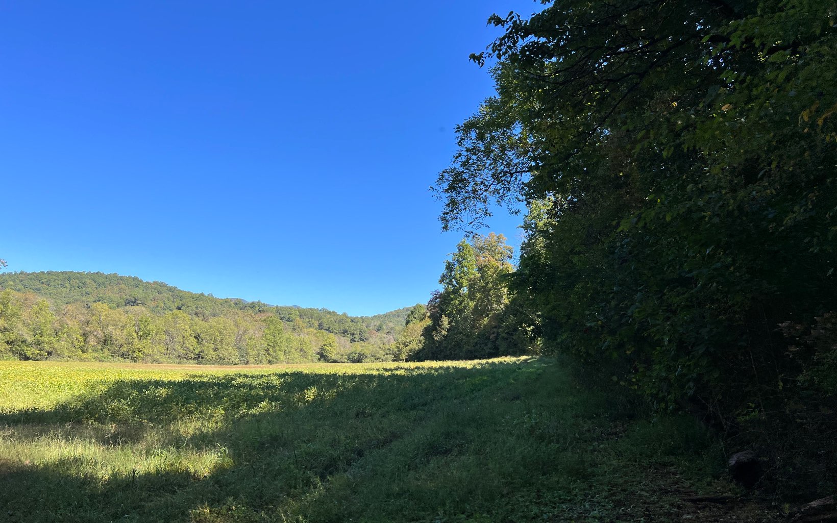 37-ac Jarrett Road Hayesville, NC 28904 - Photo 34 of 61 Additional View