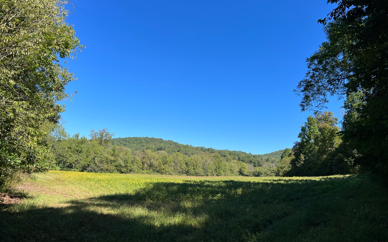37-ac Jarrett Road Hayesville, NC 28904 - Photo 35 of 61 Additional View