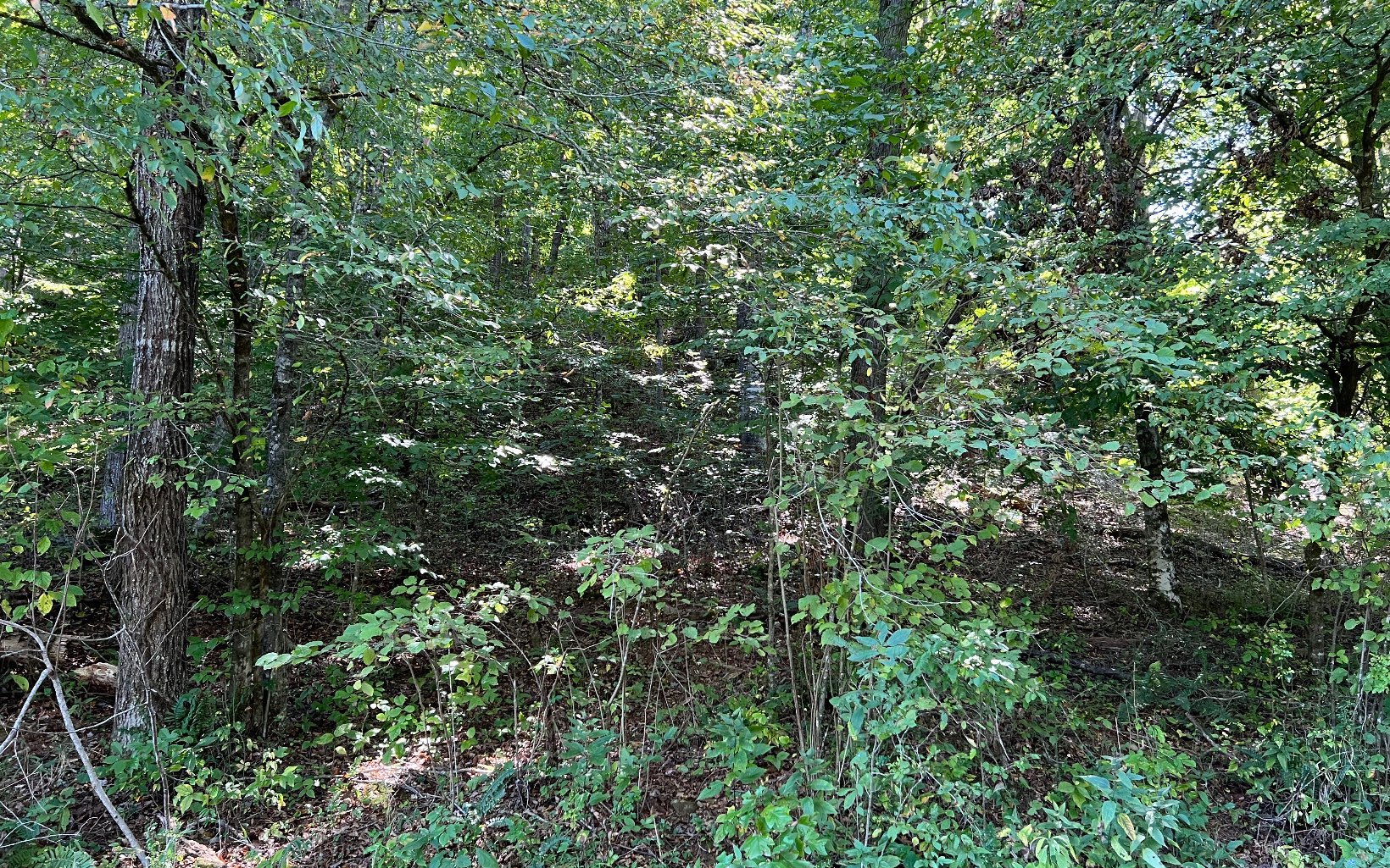 37-ac Jarrett Road Hayesville, NC 28904 - Photo 36 of 61 Additional View