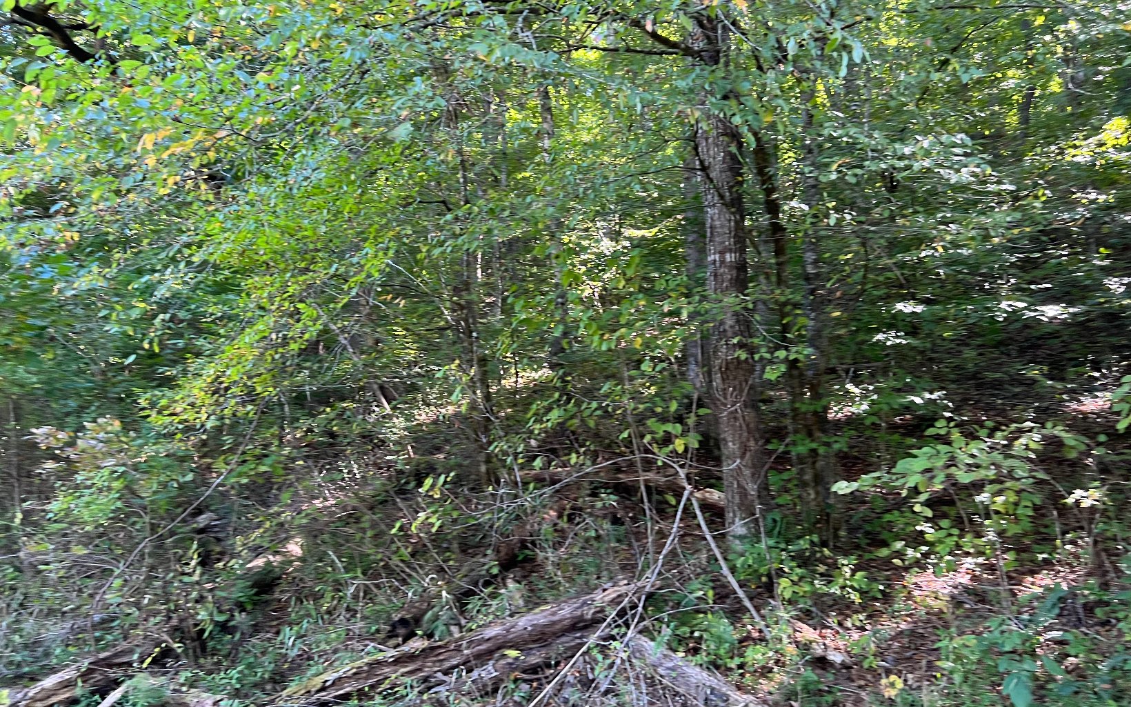 37-ac Jarrett Road Hayesville, NC 28904 - Photo 37 of 61 Additional View