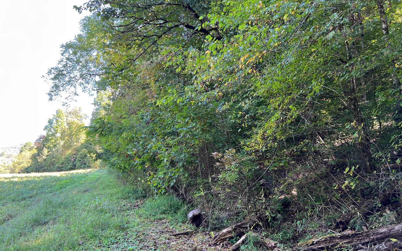 37-ac Jarrett Road Hayesville, NC 28904 - Photo 38 of 61 Additional View