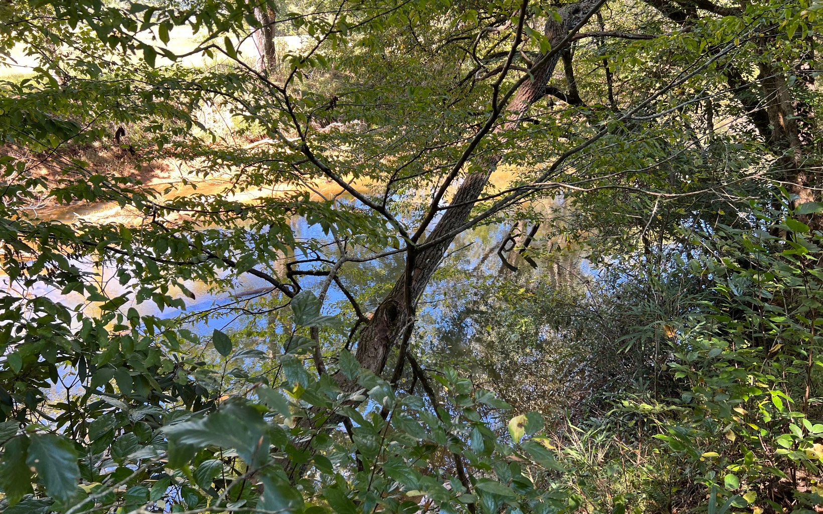 37-ac Jarrett Road Hayesville, NC 28904 - Photo 40 of 61 Additional View