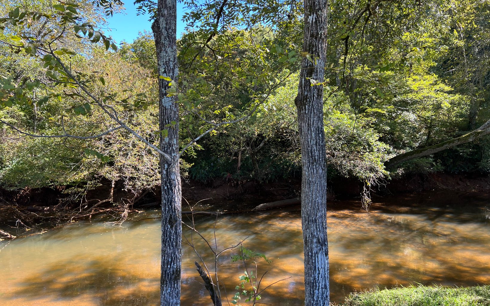 37-ac Jarrett Road Hayesville, NC 28904 - Photo 4 of 61 Additional View