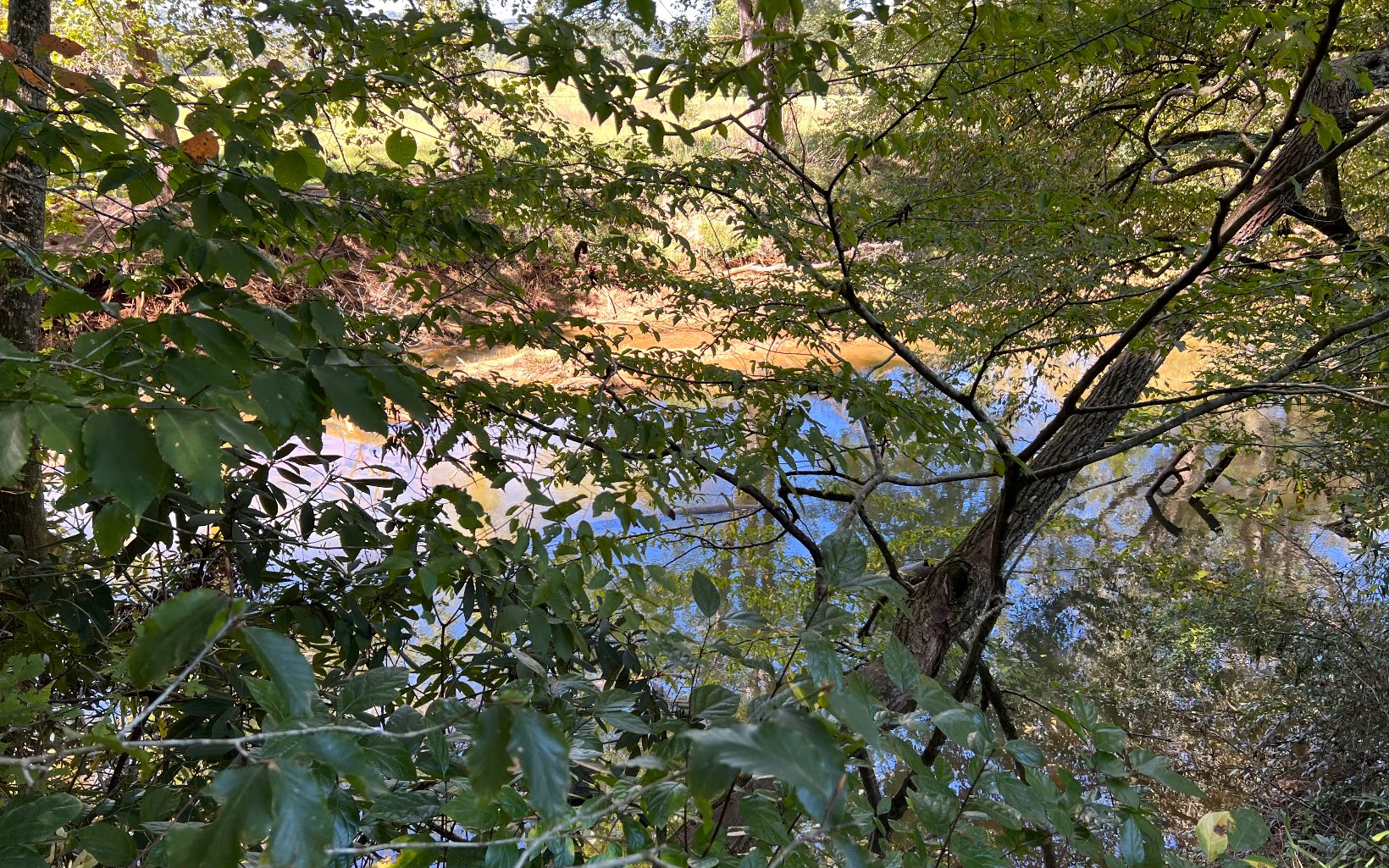 37-ac Jarrett Road Hayesville, NC 28904 - Photo 41 of 61 Additional View