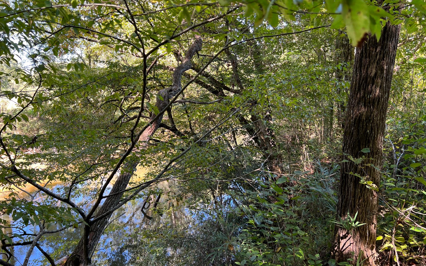 37-ac Jarrett Road Hayesville, NC 28904 - Photo 42 of 61 Additional View