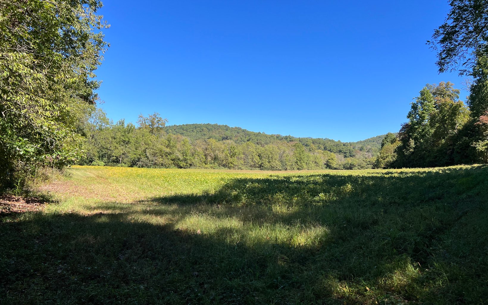 37-ac Jarrett Road Hayesville, NC 28904 - Photo 43 of 61 Additional View