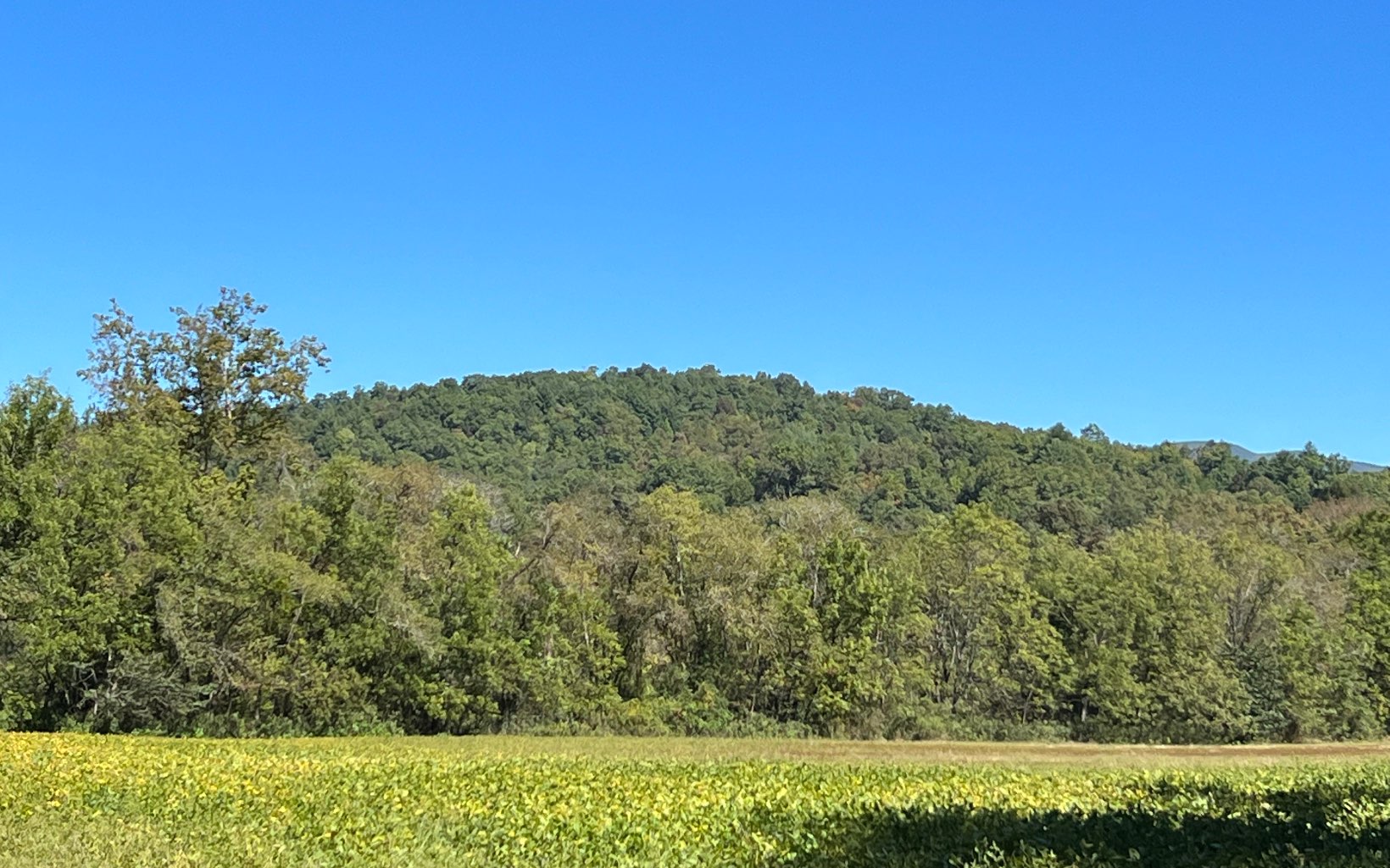 37-ac Jarrett Road Hayesville, NC 28904 - Photo 44 of 61 Additional View