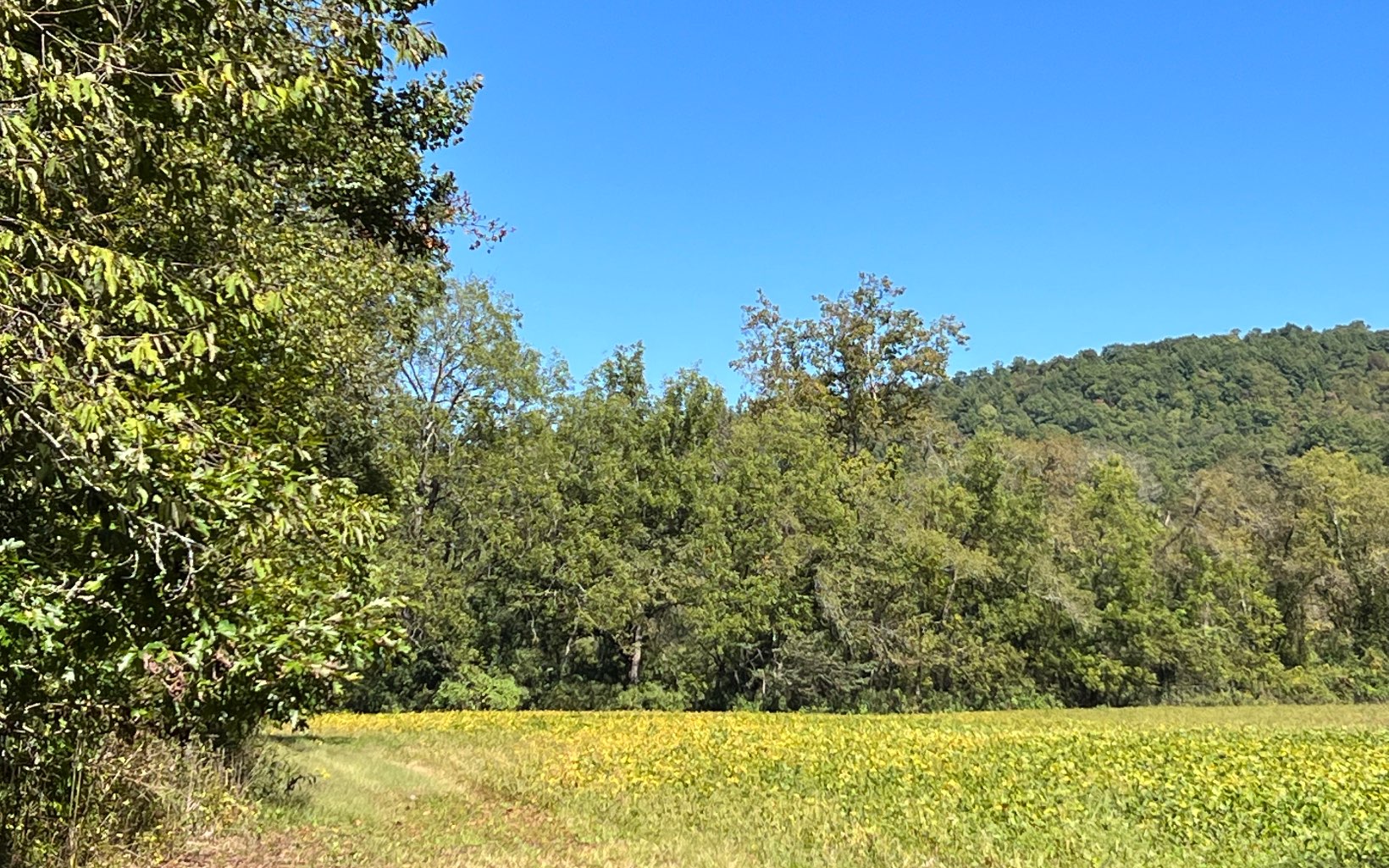 37-ac Jarrett Road Hayesville, NC 28904 - Photo 45 of 61 Additional View