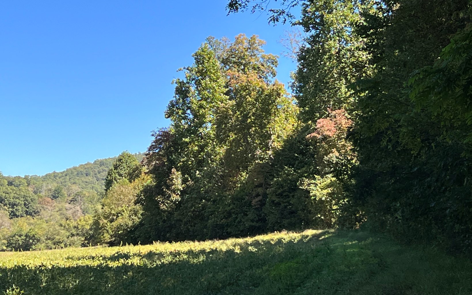 37-ac Jarrett Road Hayesville, NC 28904 - Photo 46 of 61 Additional View