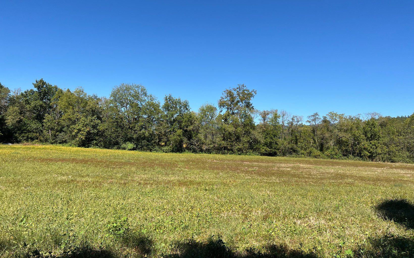 37-ac Jarrett Road Hayesville, NC 28904 - Photo 47 of 61 Additional View