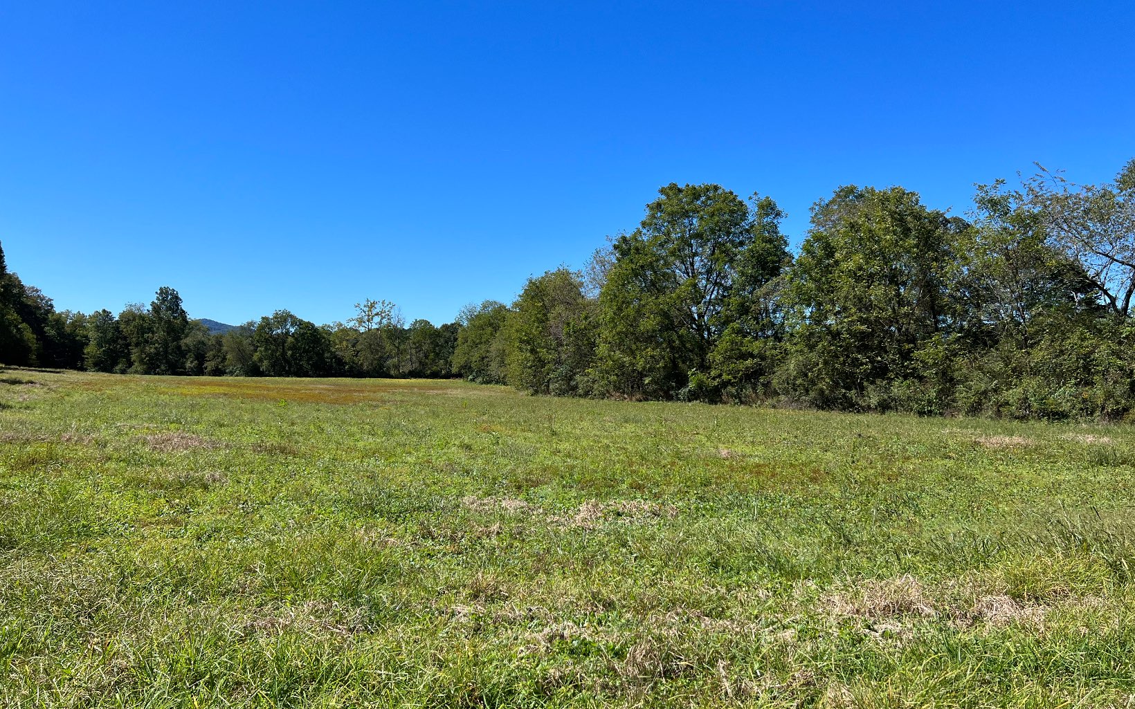 37-ac Jarrett Road Hayesville, NC 28904 - Photo 49 of 61 Additional View