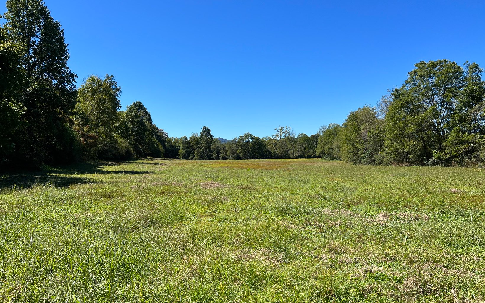 37-ac Jarrett Road Hayesville, NC 28904 - Photo 50 of 61 Additional View