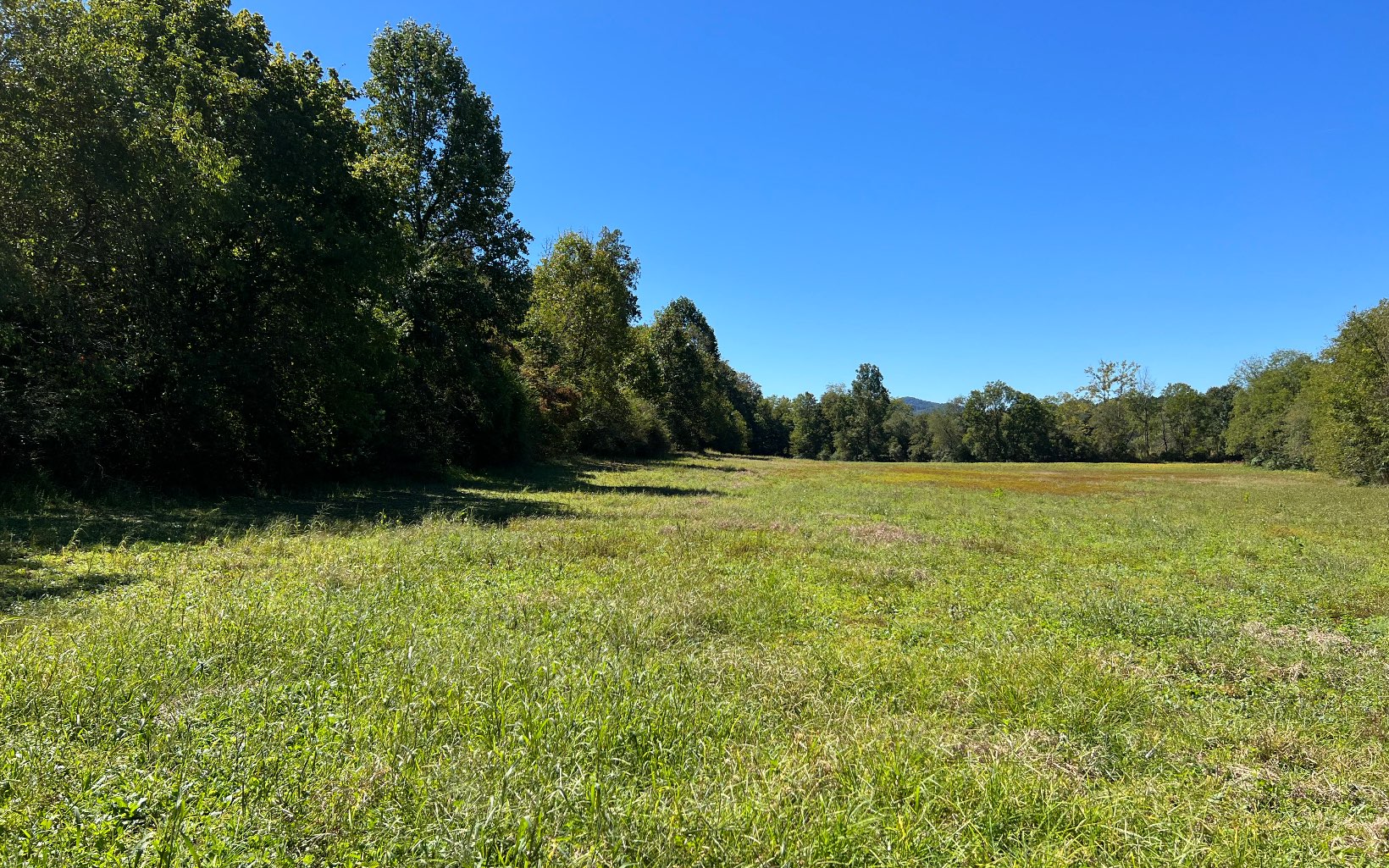 37-ac Jarrett Road Hayesville, NC 28904 - Photo 51 of 61 Additional View