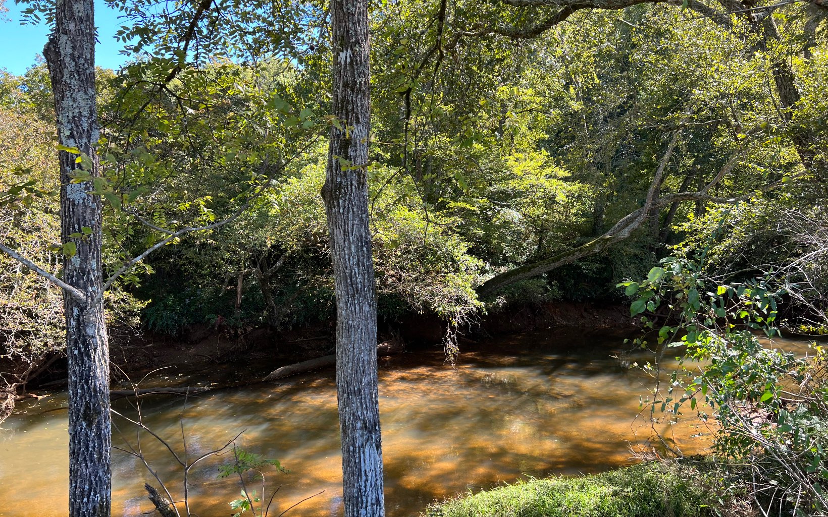 37-ac Jarrett Road Hayesville, NC 28904 - Photo 54 of 61 Additional View
