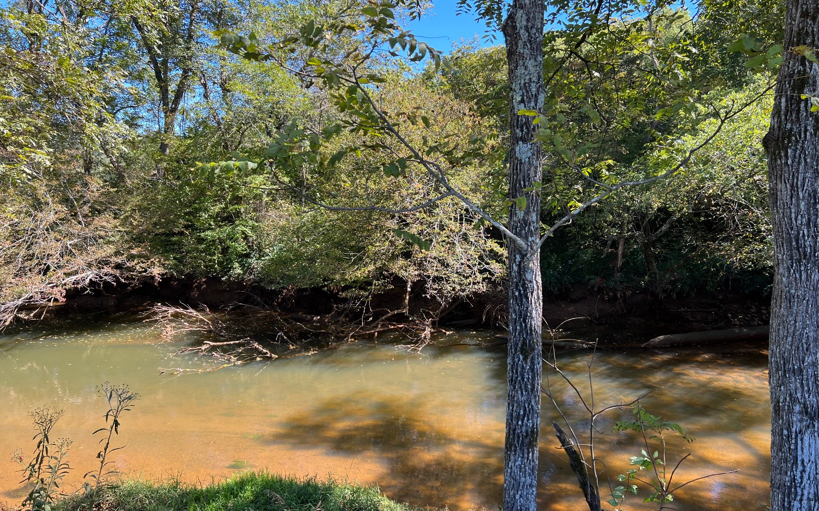 37-ac Jarrett Road Hayesville, NC 28904 - Photo 55 of 61 Additional View