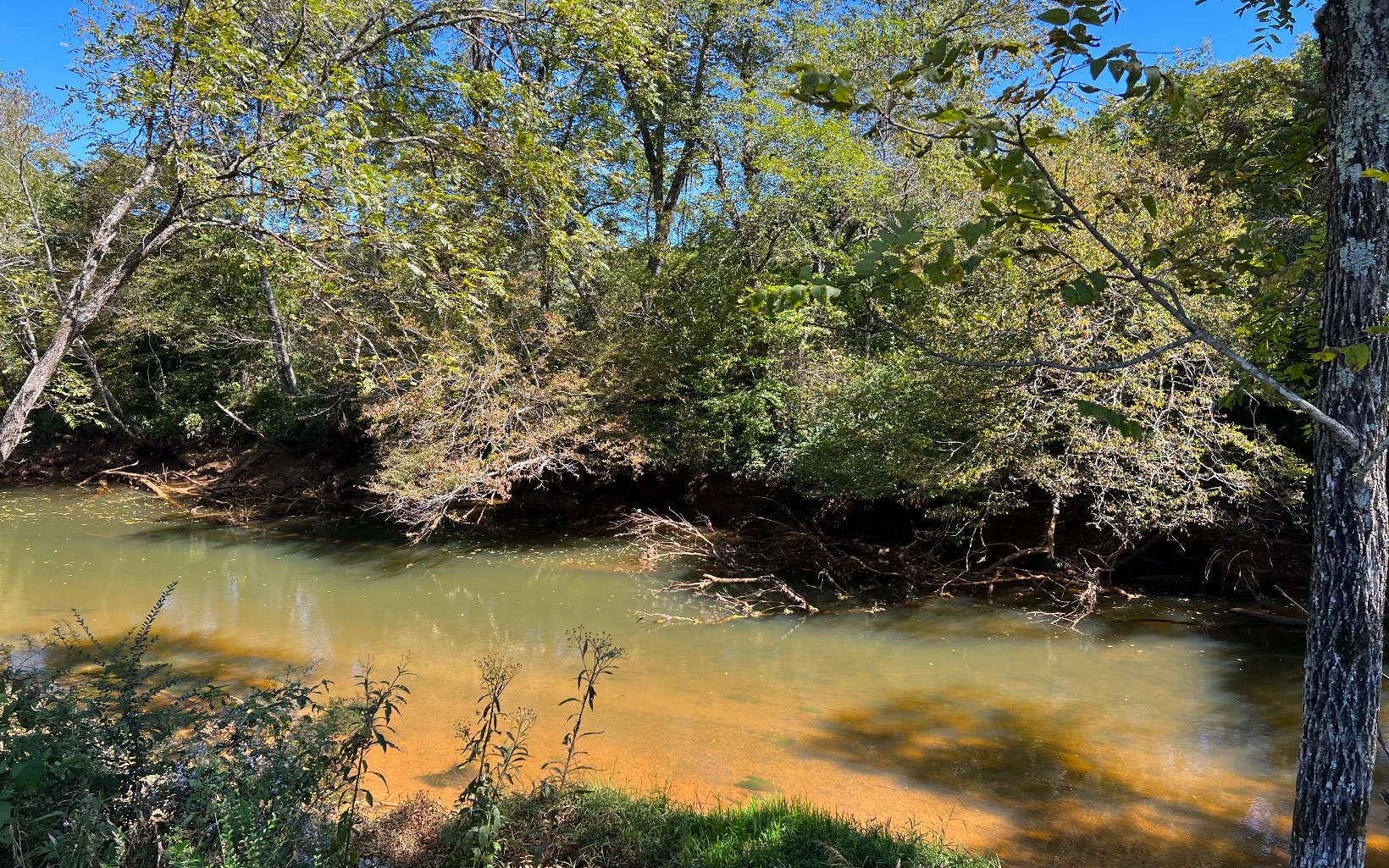 37-ac Jarrett Road Hayesville, NC 28904 - Photo 56 of 61 Additional View