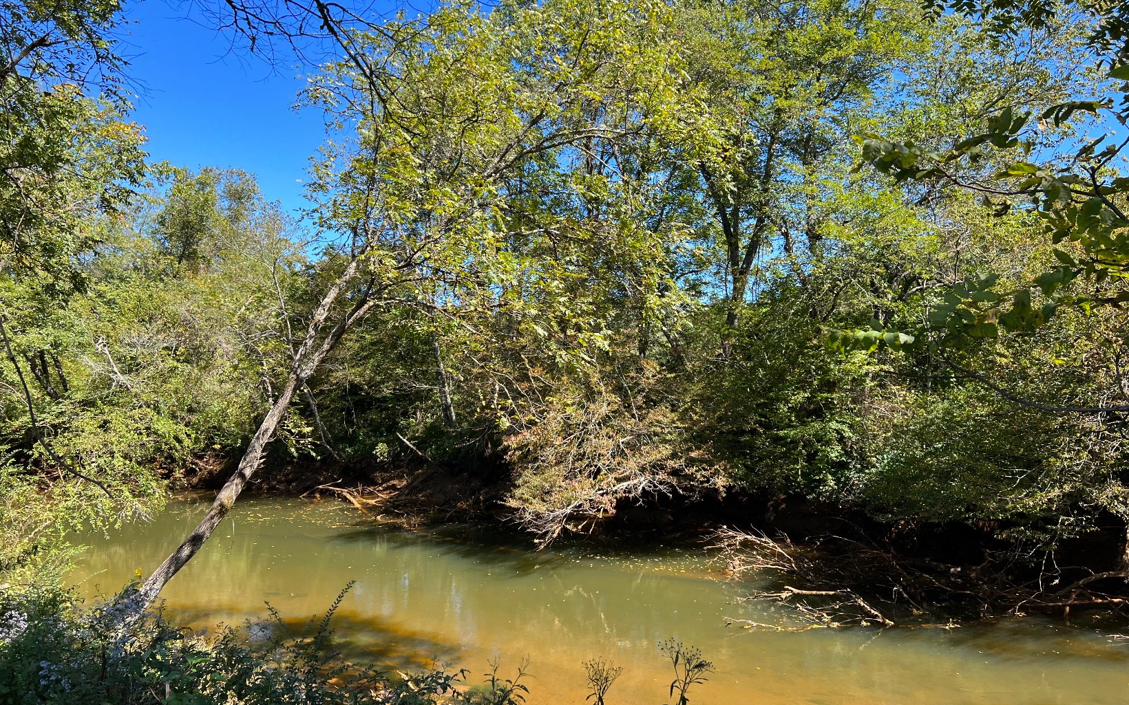 37-ac Jarrett Road Hayesville, NC 28904 - Photo 57 of 61 Additional View