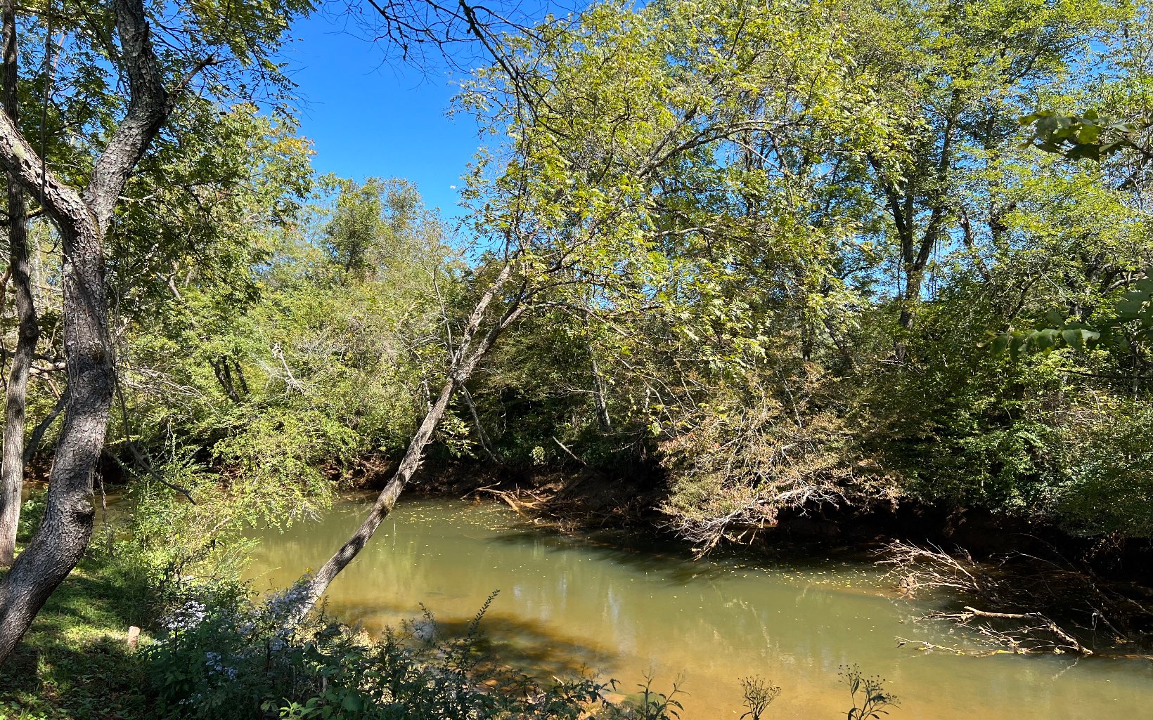 37-ac Jarrett Road Hayesville, NC 28904 - Photo 58 of 61 Additional View