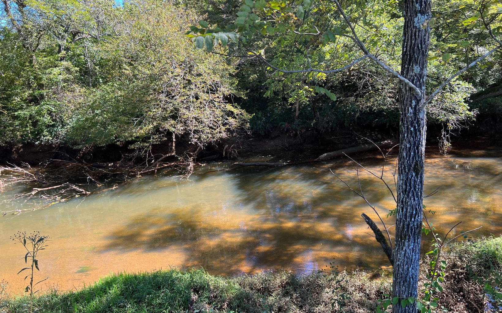 37-ac Jarrett Road Hayesville, NC 28904 - Photo 59 of 61 Additional View