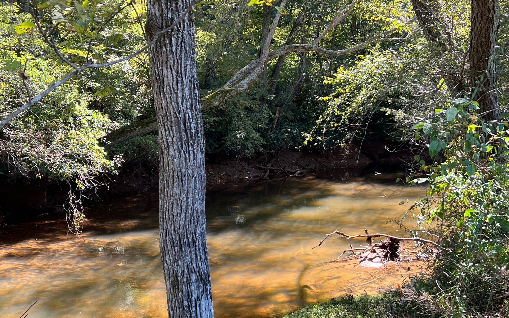 37-ac Jarrett Road Hayesville, NC 28904 - Photo 60 of 61 Additional View