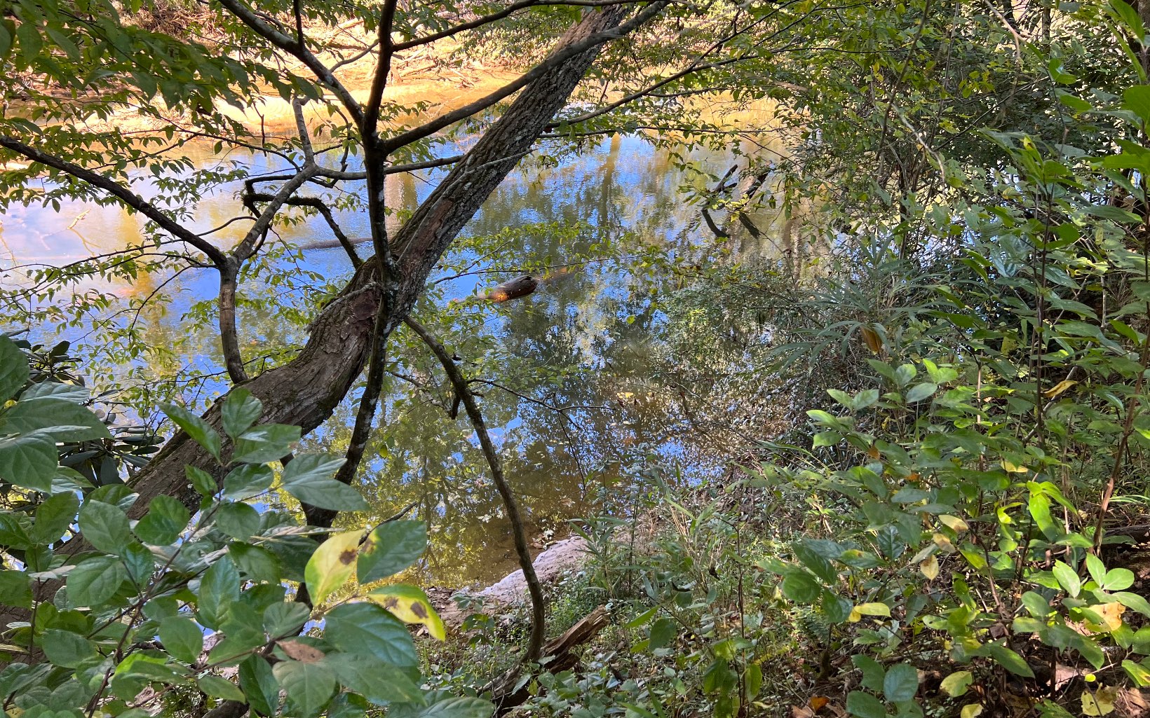 37-ac Jarrett Road Hayesville, NC 28904 - Photo 6 of 61 Additional View