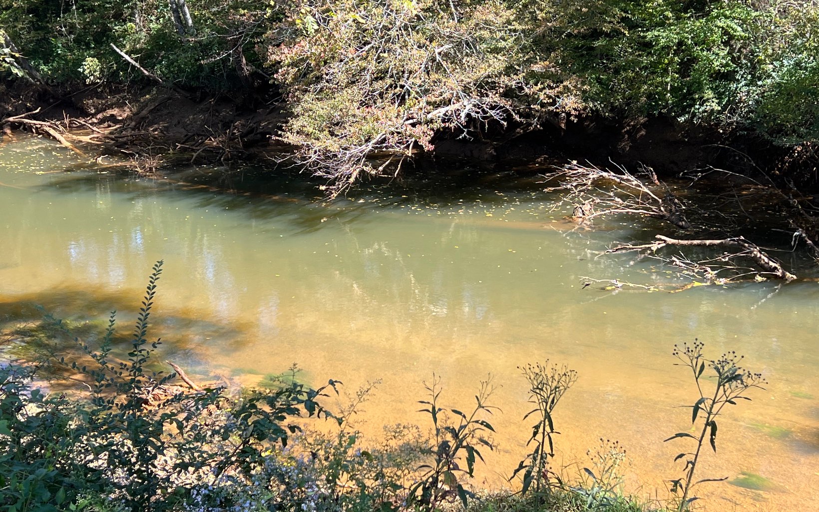 37-ac Jarrett Road Hayesville, NC 28904 - Photo 61 of 61 Additional View