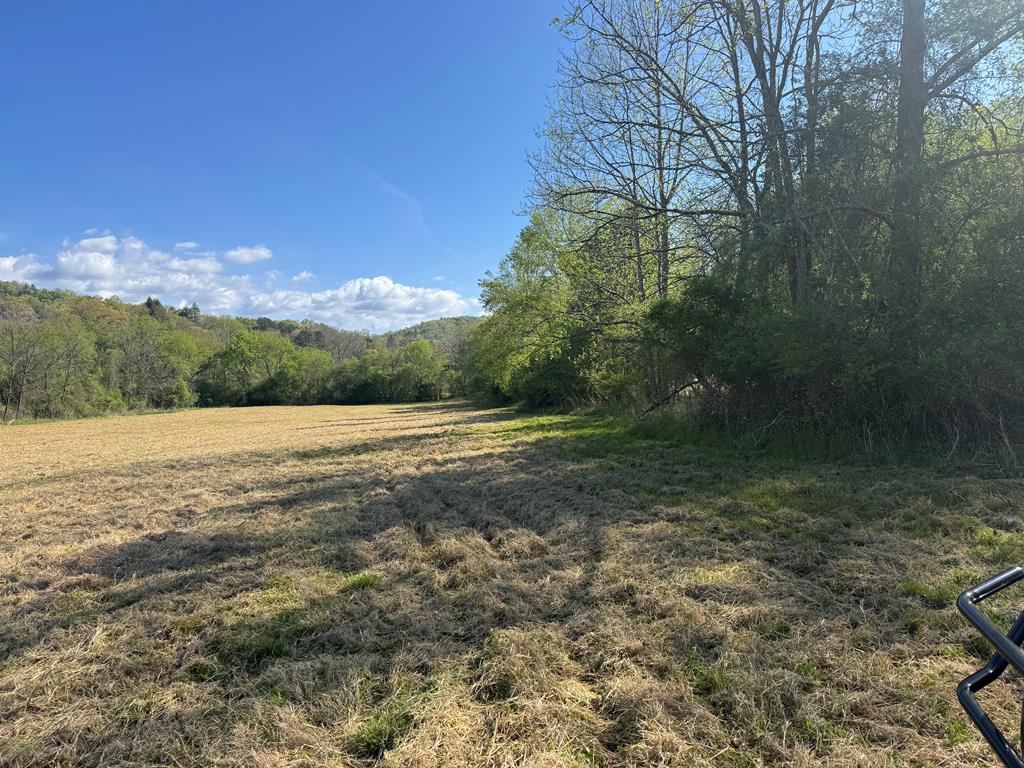37-ac Jarrett Road Hayesville, NC 28904 - Photo 62 of 65