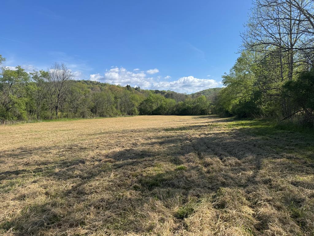 37-ac Jarrett Road Hayesville, NC 28904 - Photo 63 of 65 a view of a field with an ocean