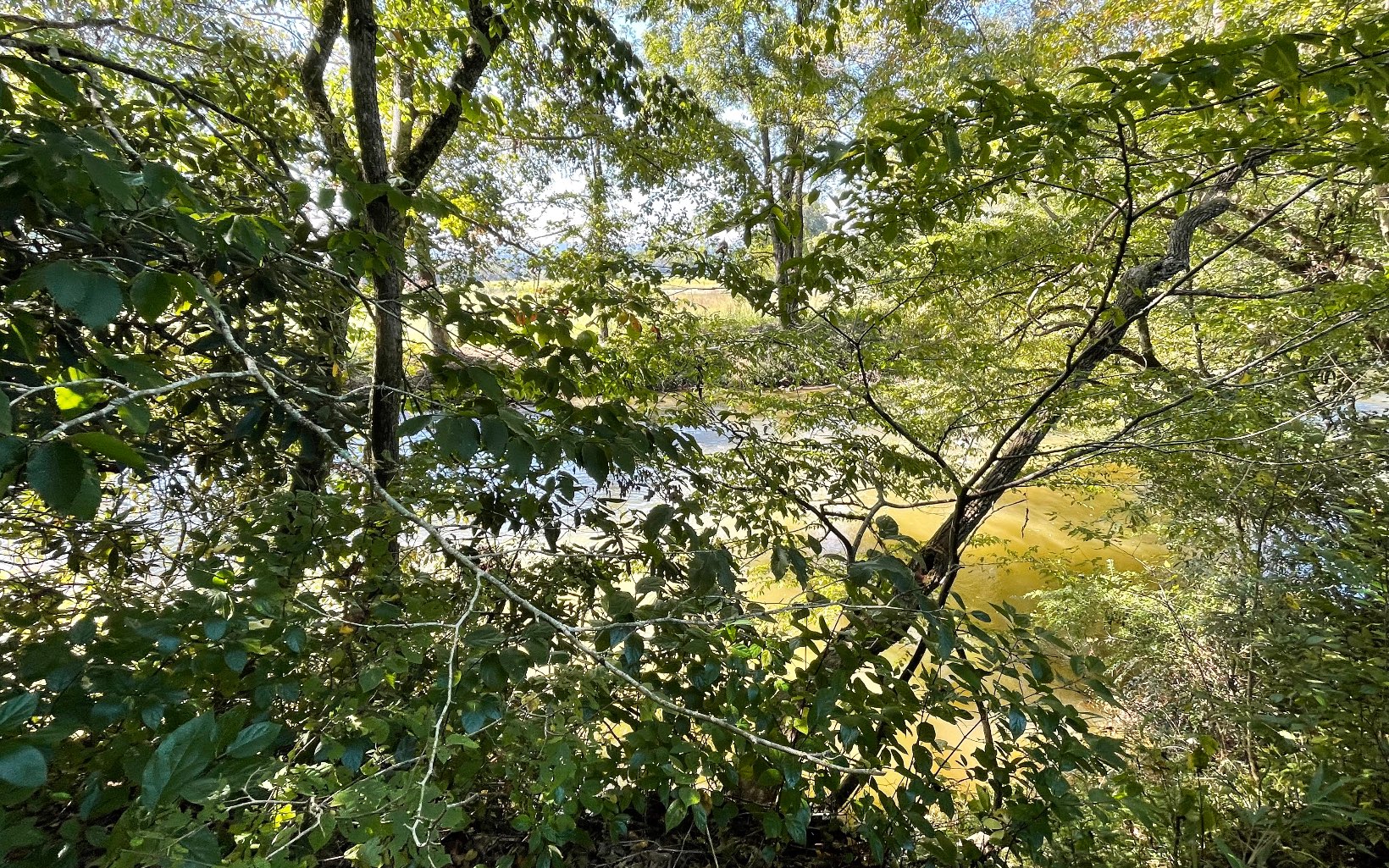 37-ac Jarrett Road Hayesville, NC 28904 - Photo 9 of 61 Additional View