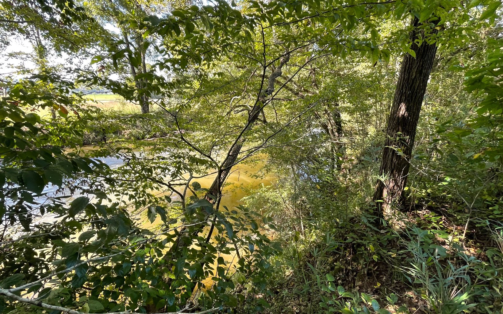 37-ac Jarrett Road Hayesville, NC 28904 - Photo 10 of 61 Additional View