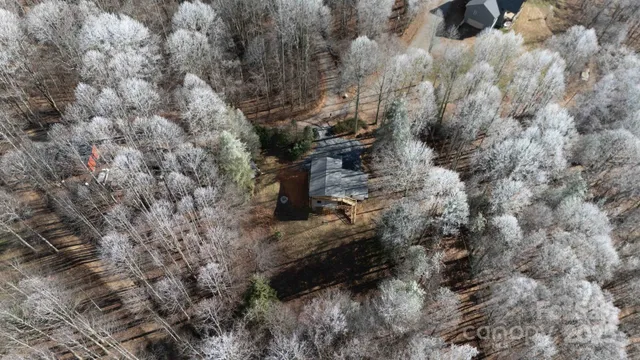 a view of a dry yard