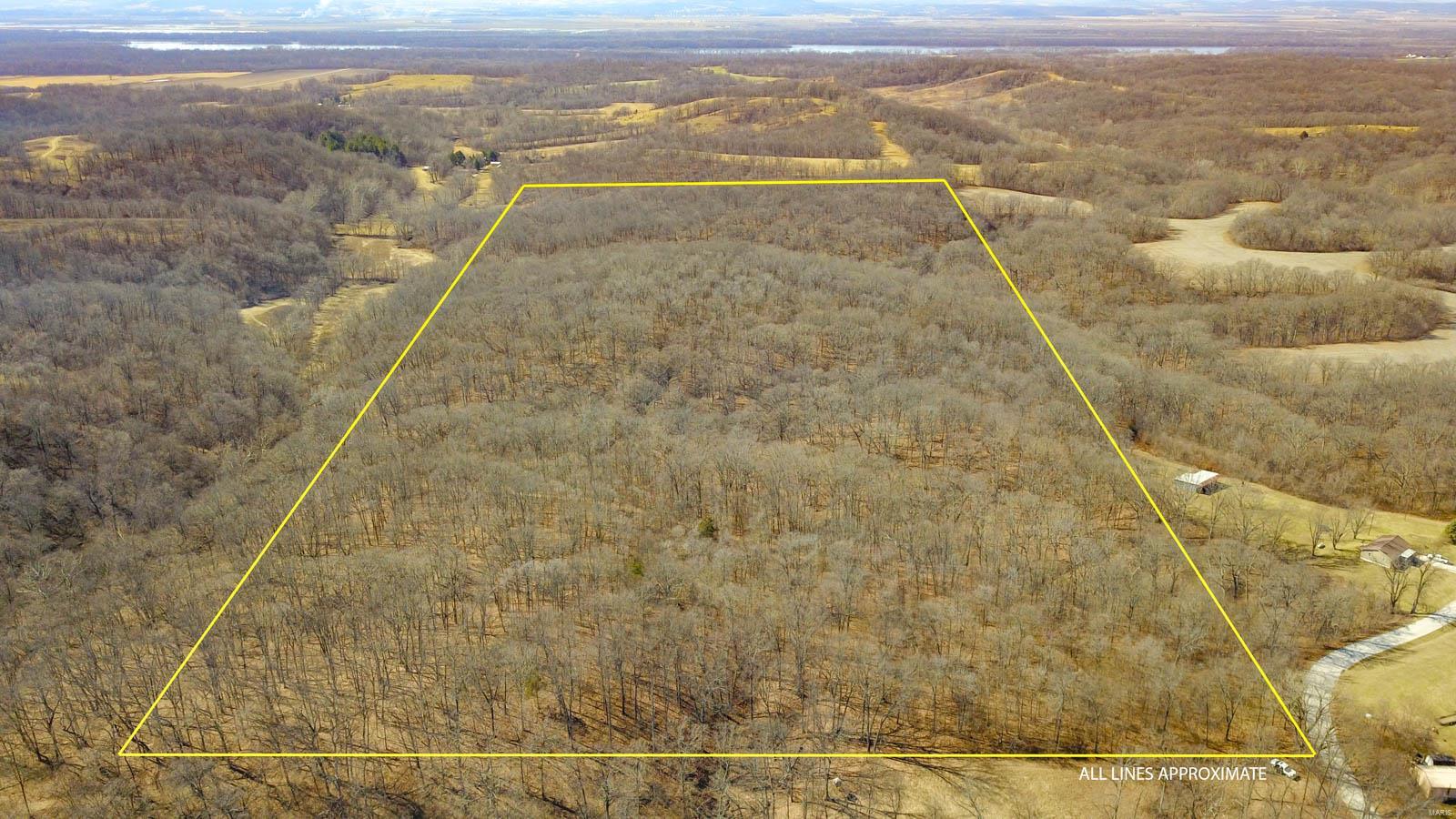 0 Blue Ridge Road Hamburg, IL 62045 - Photo 1 of 19 Gallery Image 1