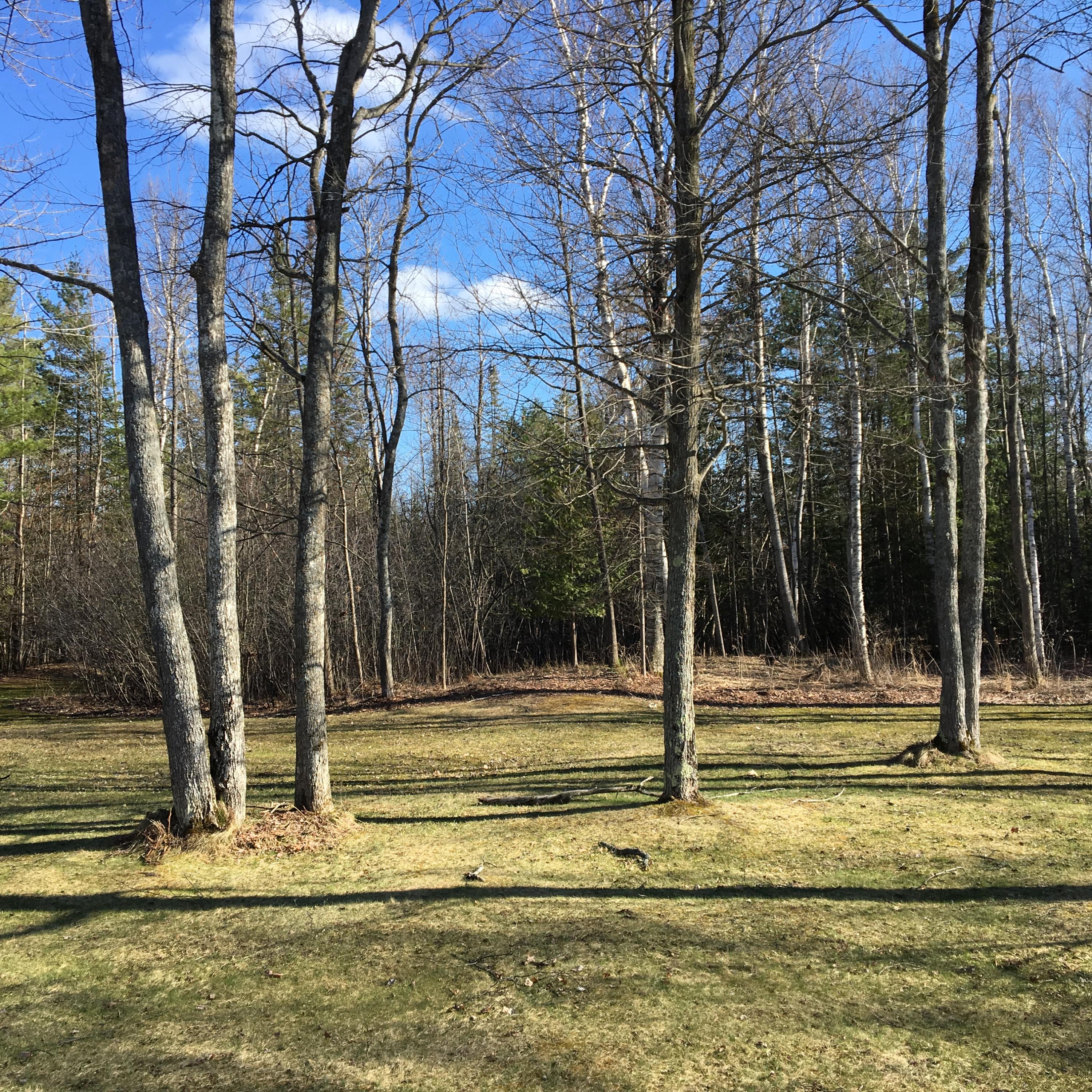 2481 Werth Road Alpena, MI 49707 - Photo 5 of 18 Gallery Image 5