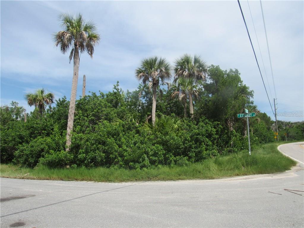 Corner lot with the look of Florida!  Under brush is easily removable to showcase the great palms and cedar trees.