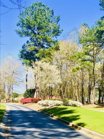7765 Montview Road North Charleston, SC 29418 - Photo 18 of 39 Landscaping