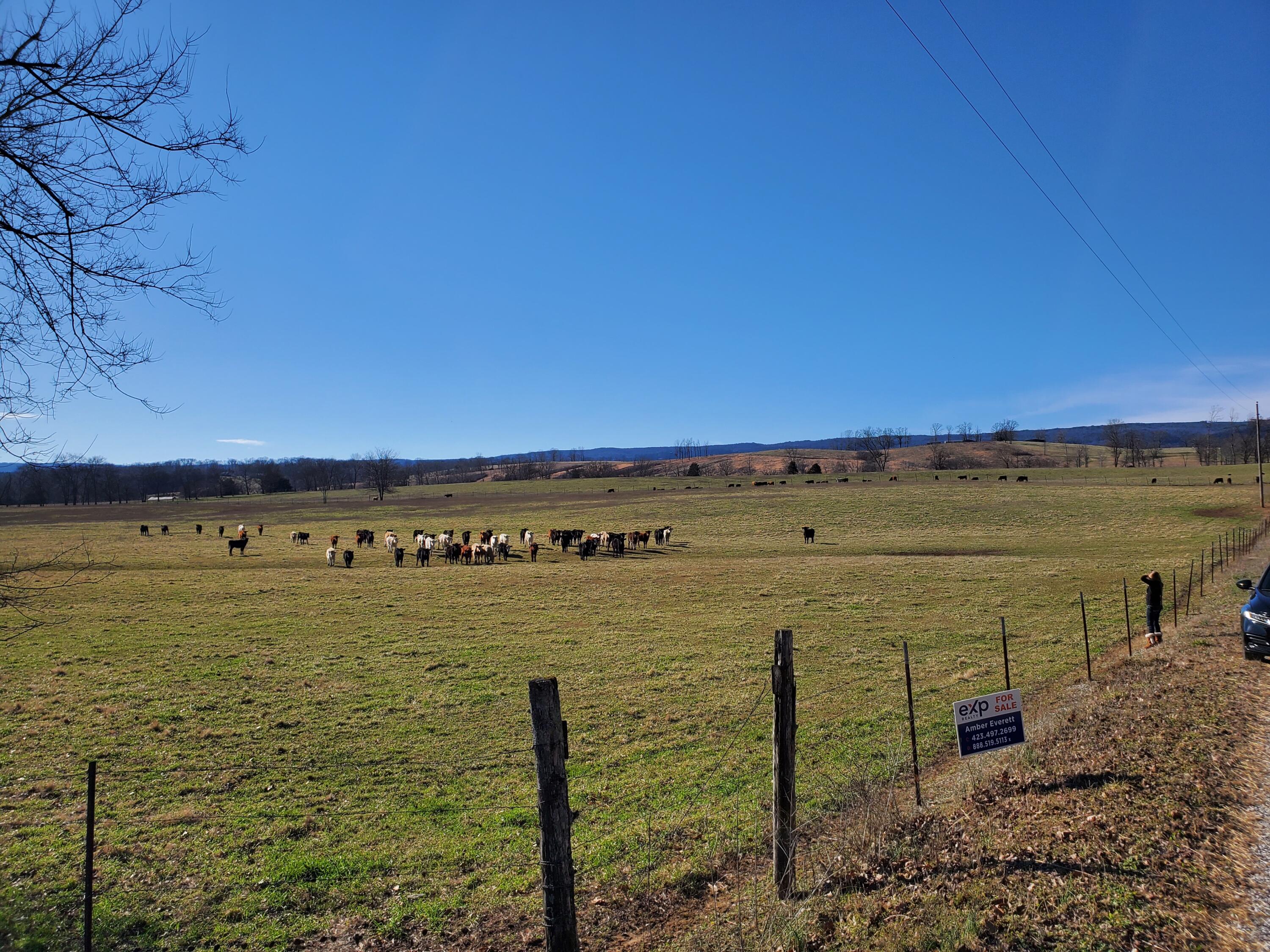 0 Neergaard Road, Unit LOWR EAST Dunlap, TN 37327 - Photo 3 of 5 20220220_150302