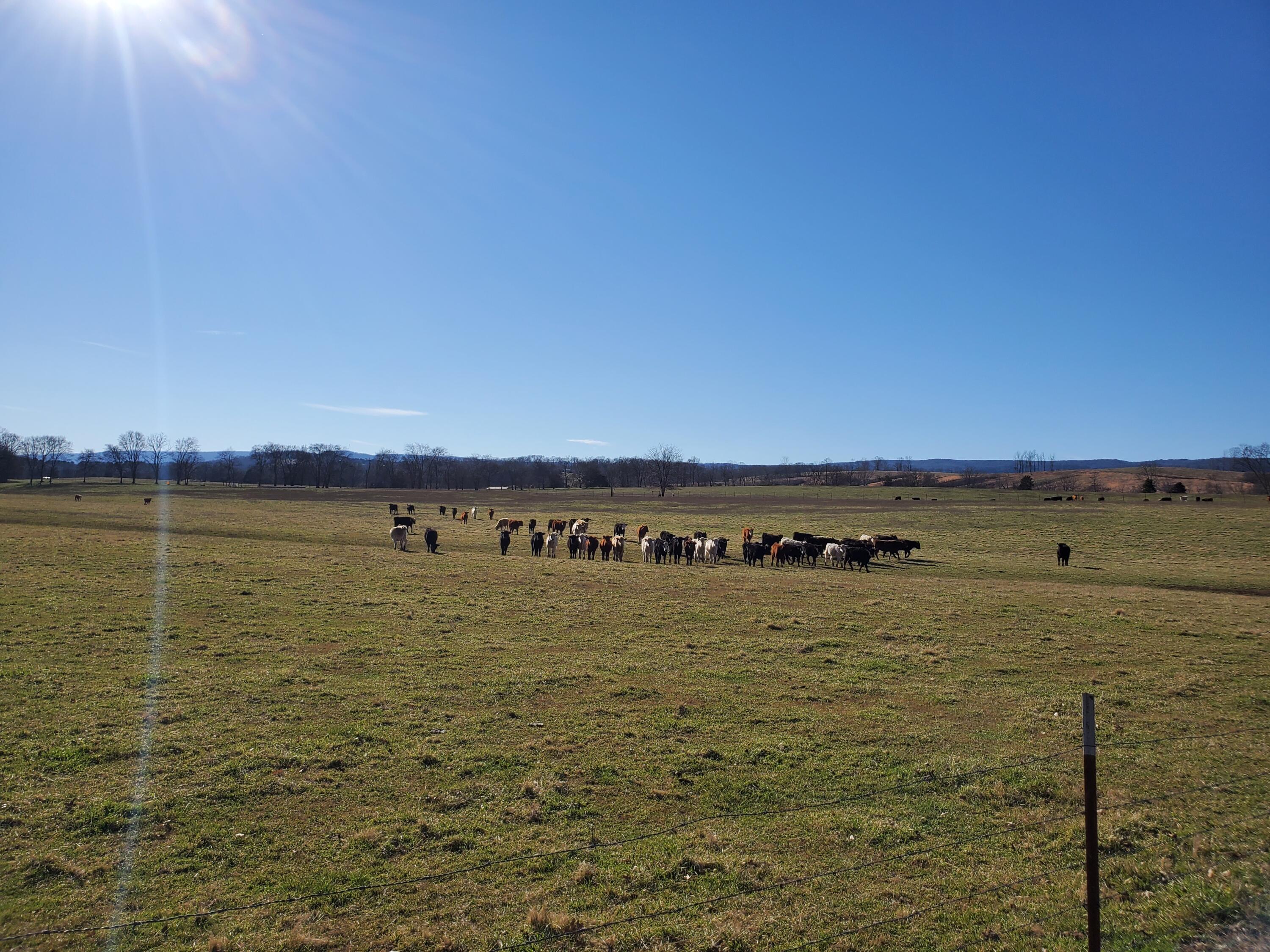 0 Neergaard Road, Unit LOWR EAST Dunlap, TN 37327 - Photo 4 of 5 20220220_150331
