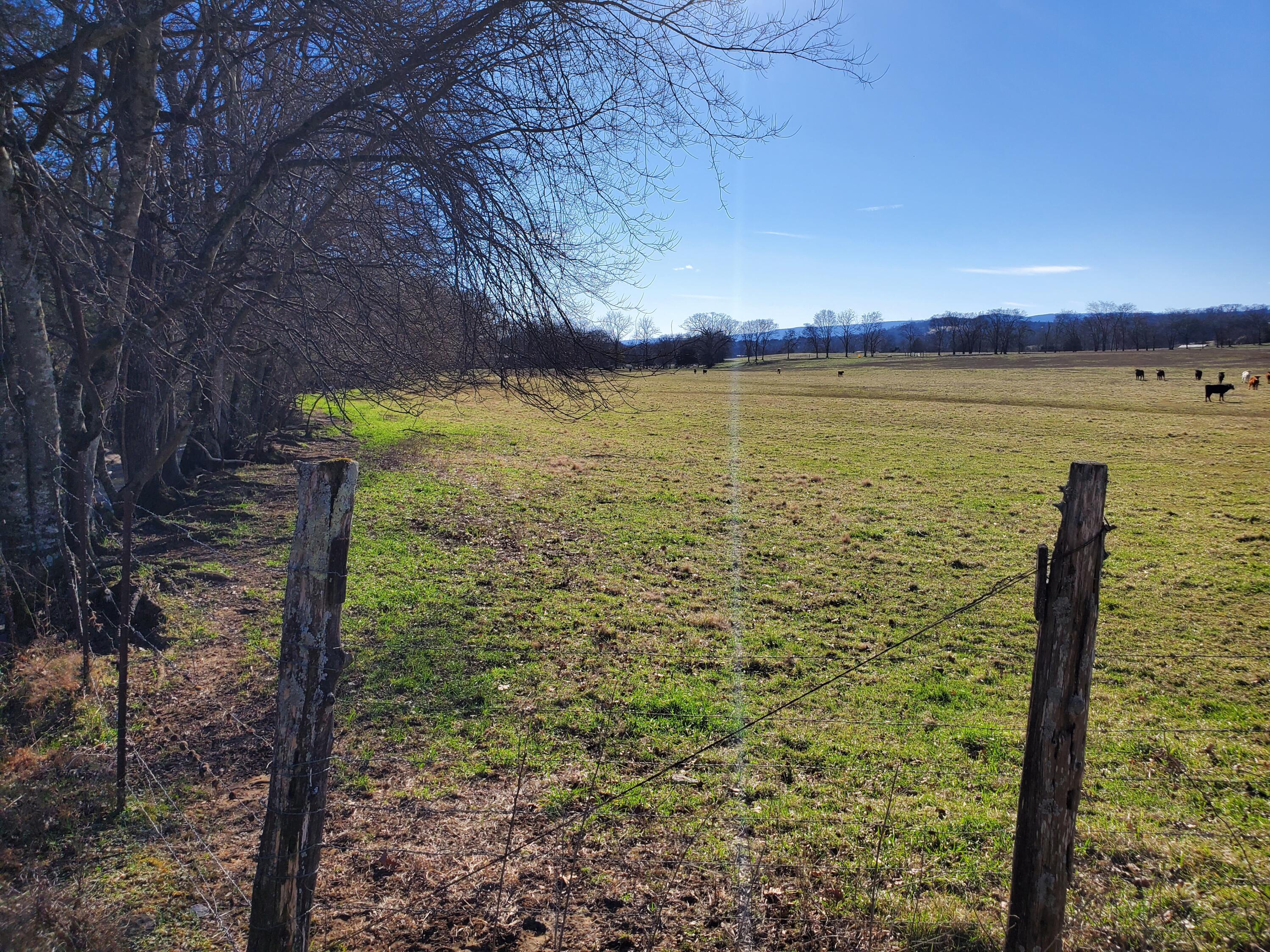 0 Neergaard Road, Unit LOWR EAST Dunlap, TN 37327 - Photo 5 of 5 20220220_150315