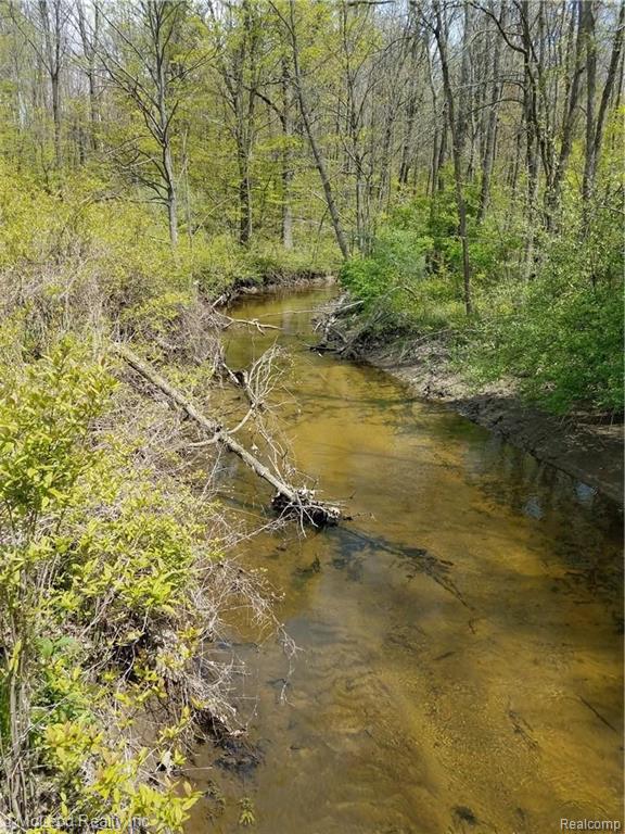 Vl Washburn Road Vassar, MI 48768 - Photo 12 of 37