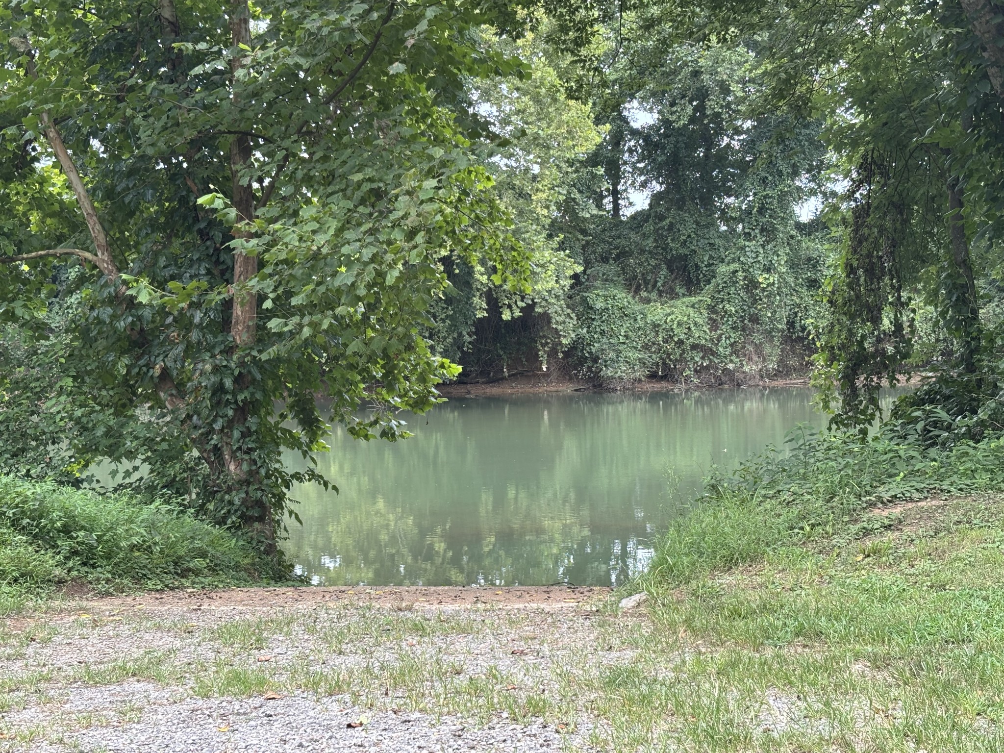 0 Dailey Loop Road Linden, TN 37096 - Photo 2 of 4