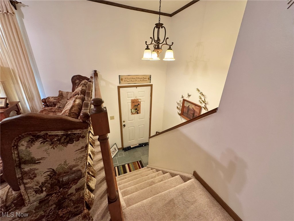 4514 Russet Road Grantsville, WV 26147 - Photo 33 of 44