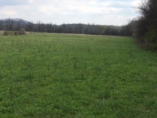 10308 Zacharytown Road Corryton, TN 37721 - Photo 13 of 14 IMG_6603