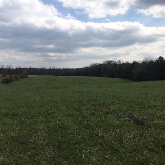 10308 Zacharytown Road Corryton, TN 37721 - Photo 14 of 14 IMG_6607
