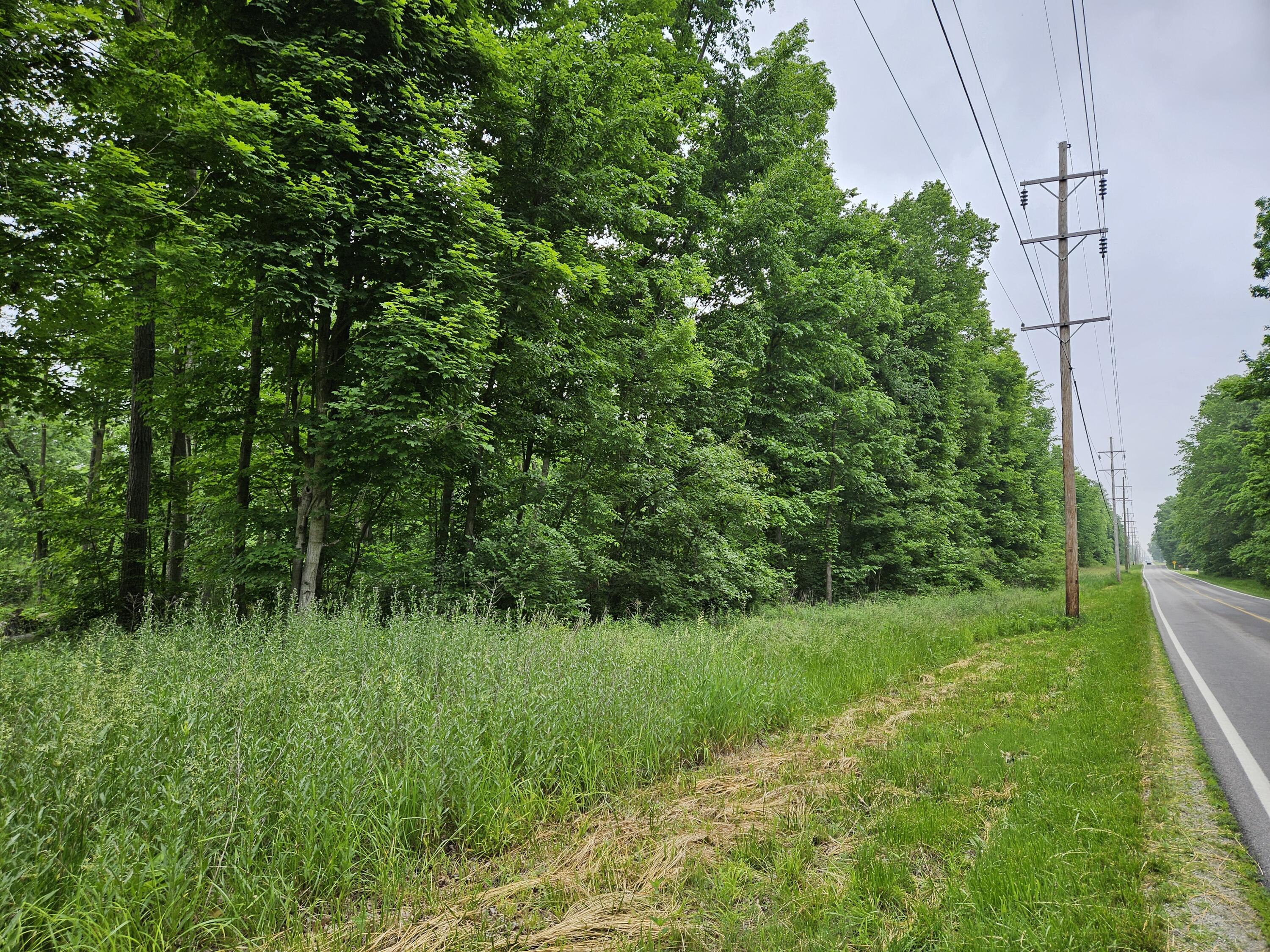 0 Botkins Road Jackson Center, OH 45334 - Photo 8 of 10