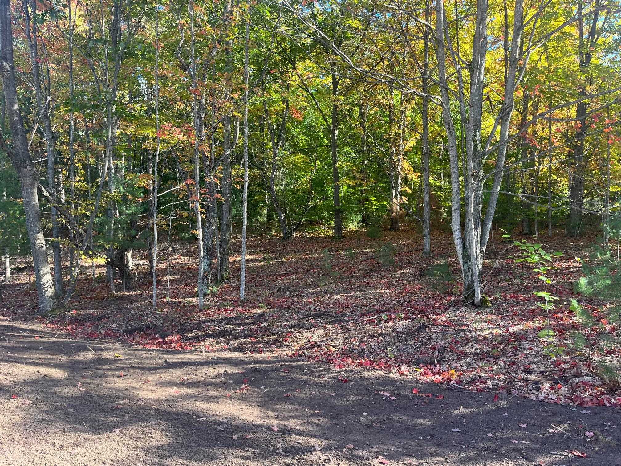 Parcel E West Trumbull Road Maple City, MI 49664 - Photo 2 of 16