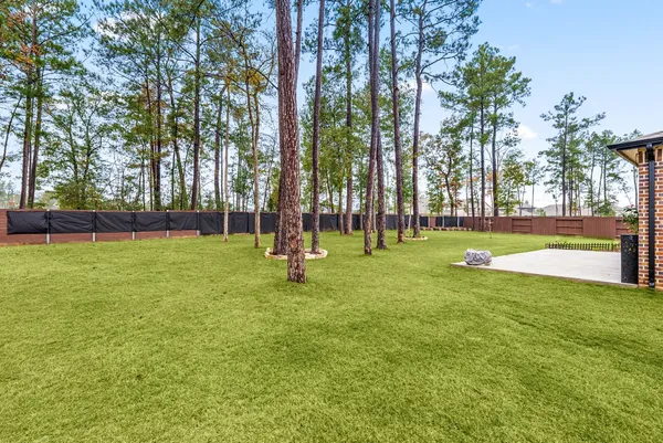 a view of a park with a tree