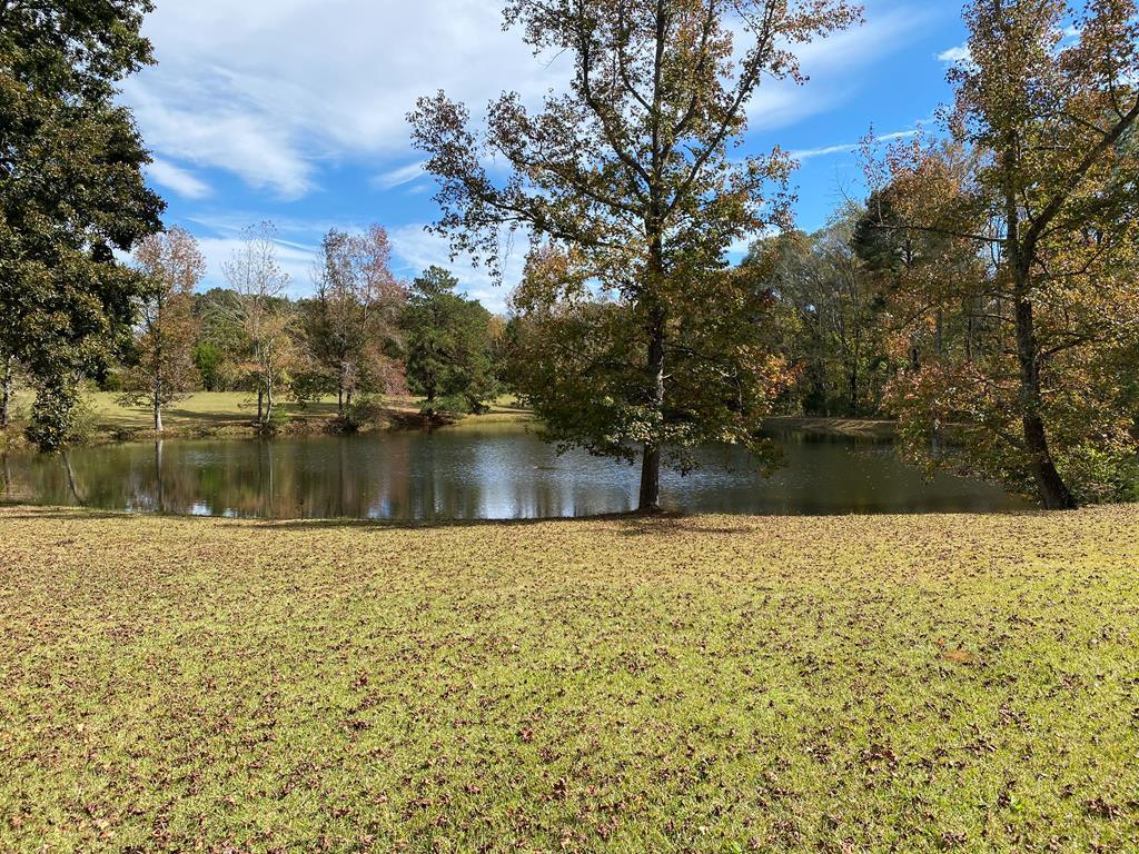 0 Warm Springs Road Midland, GA 31820 - Photo 3 of 26 Pond view from fire pit